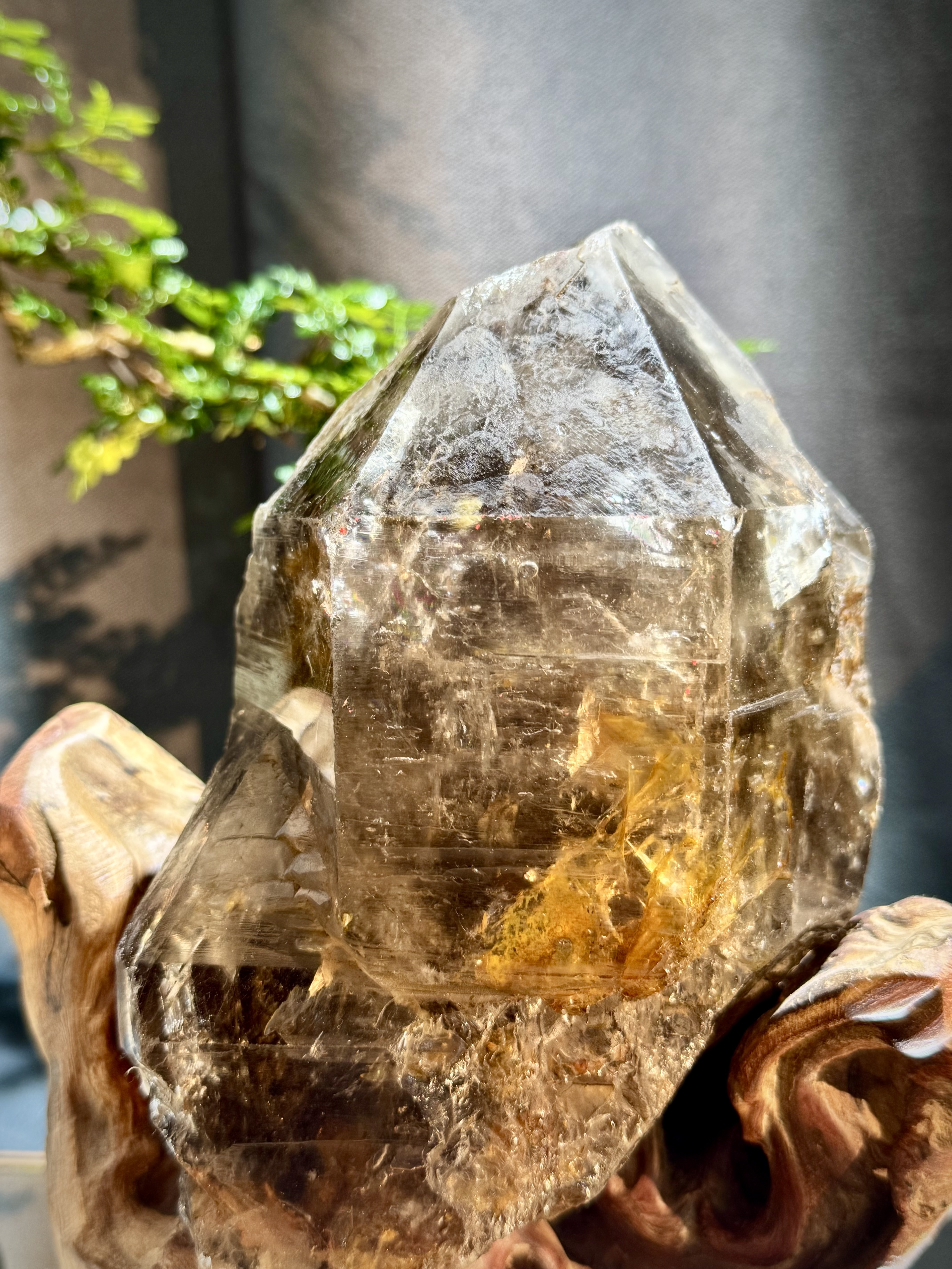 巴西茶黃水晶原石擺件 5404