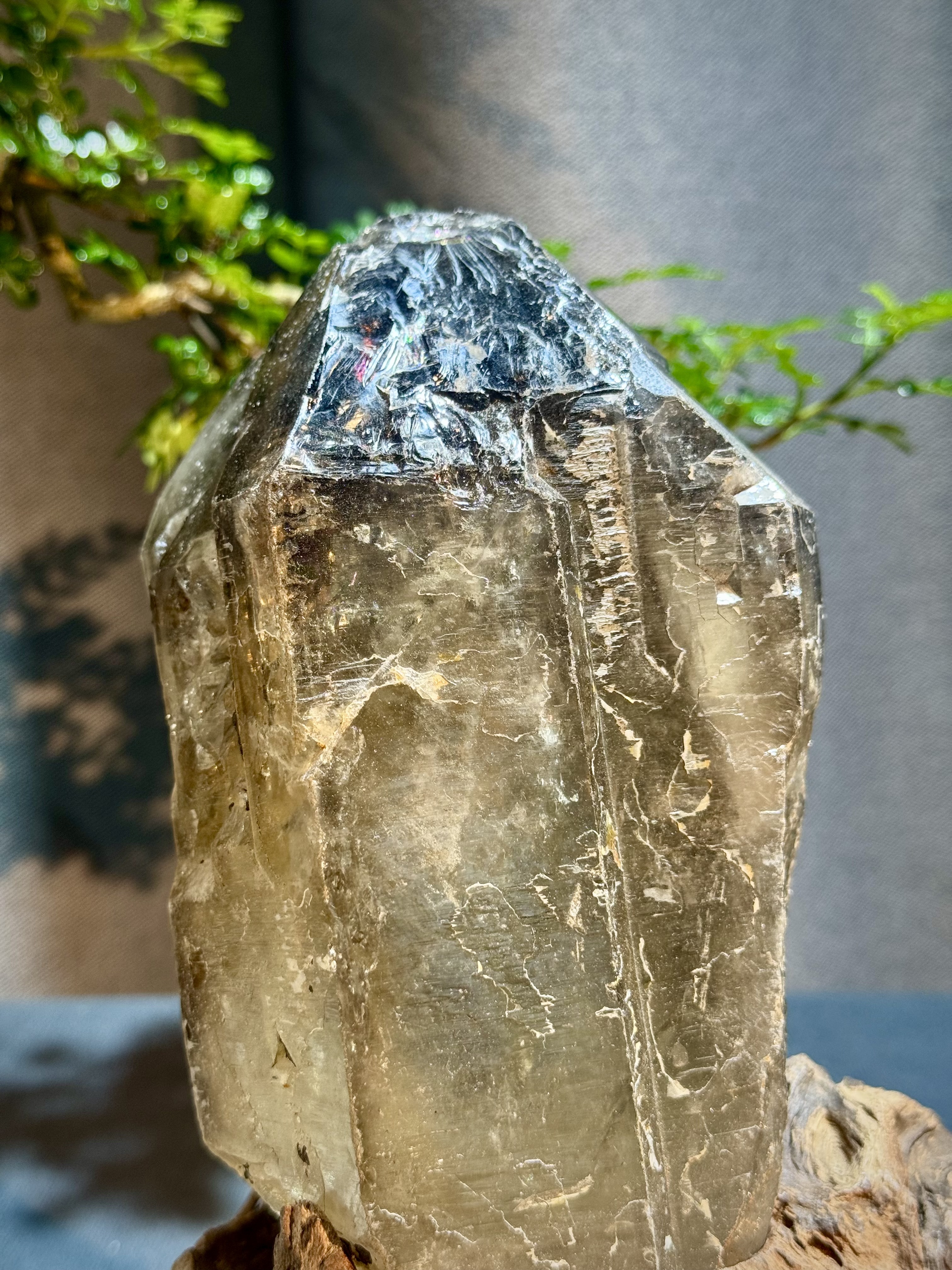 巴西茶黃水晶原石擺件 5409