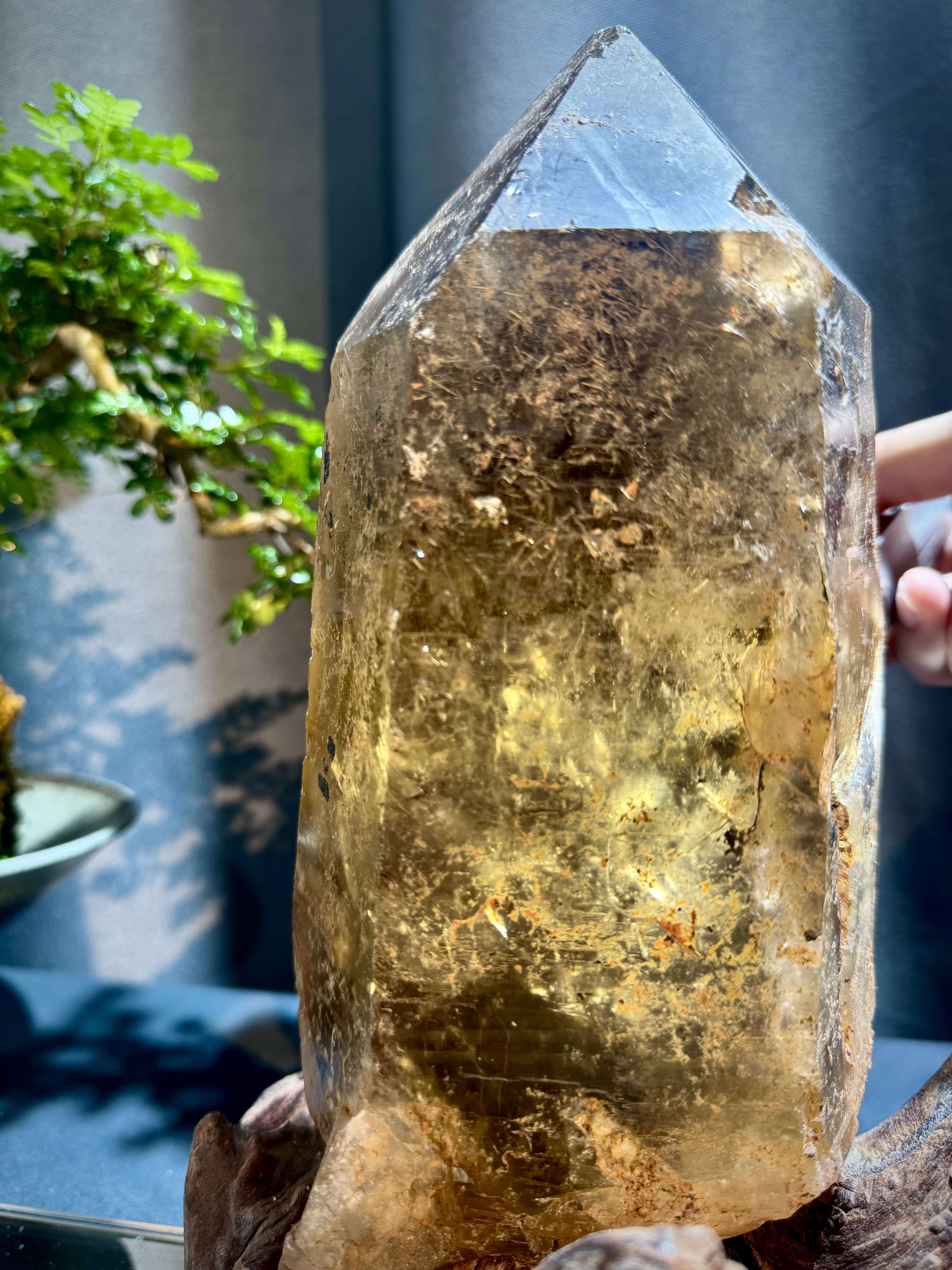 金髮晶原石擺件 5411