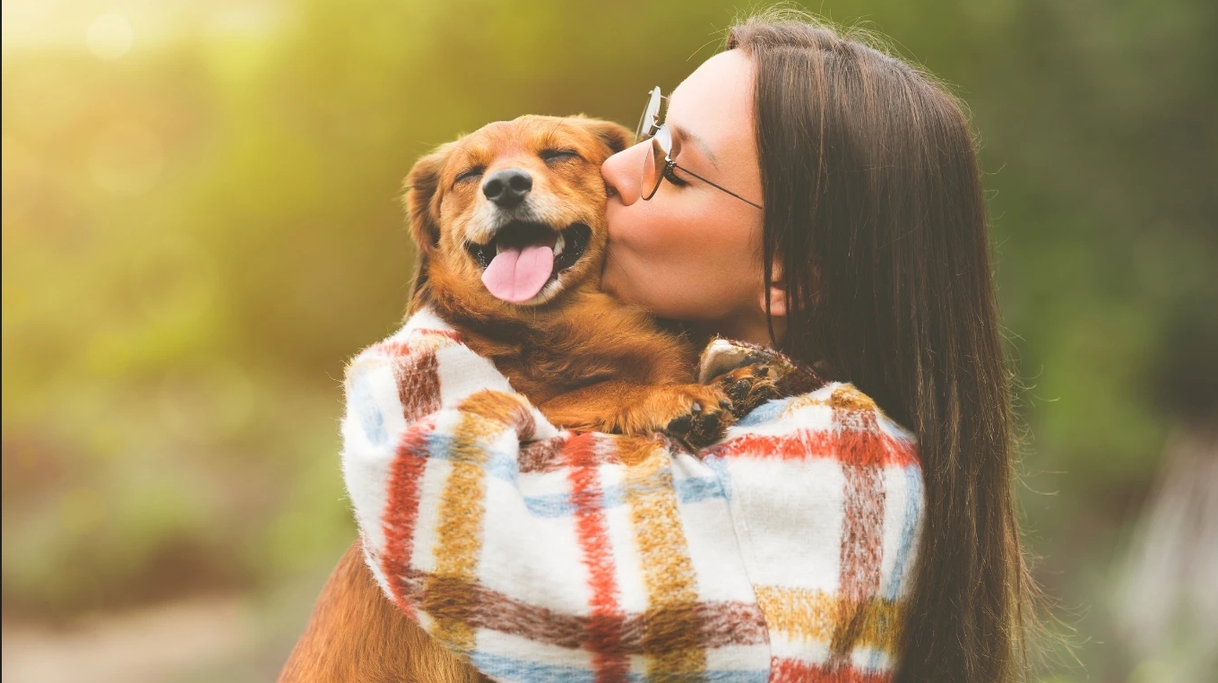 小型犬為什麼這麼惹人愛？5大優點讓你心動！