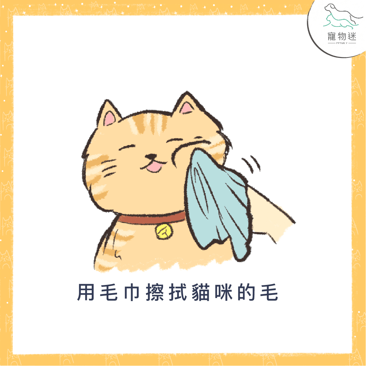 用濕毛巾去擦拭貓咪的毛