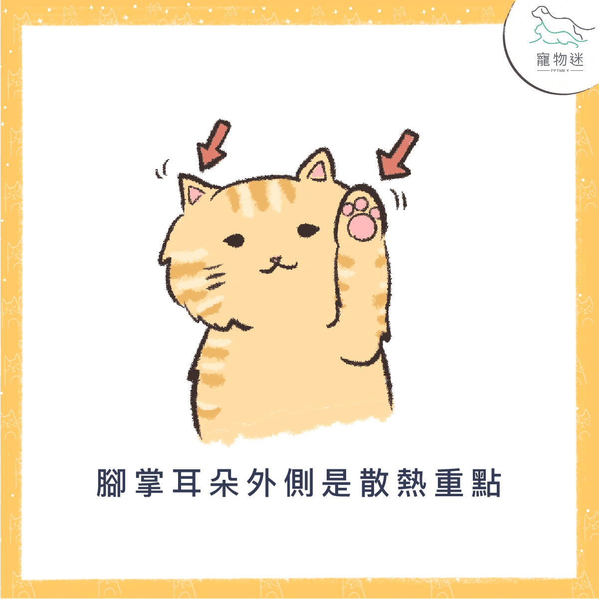 腳掌或耳朵外側是散熱重點部分