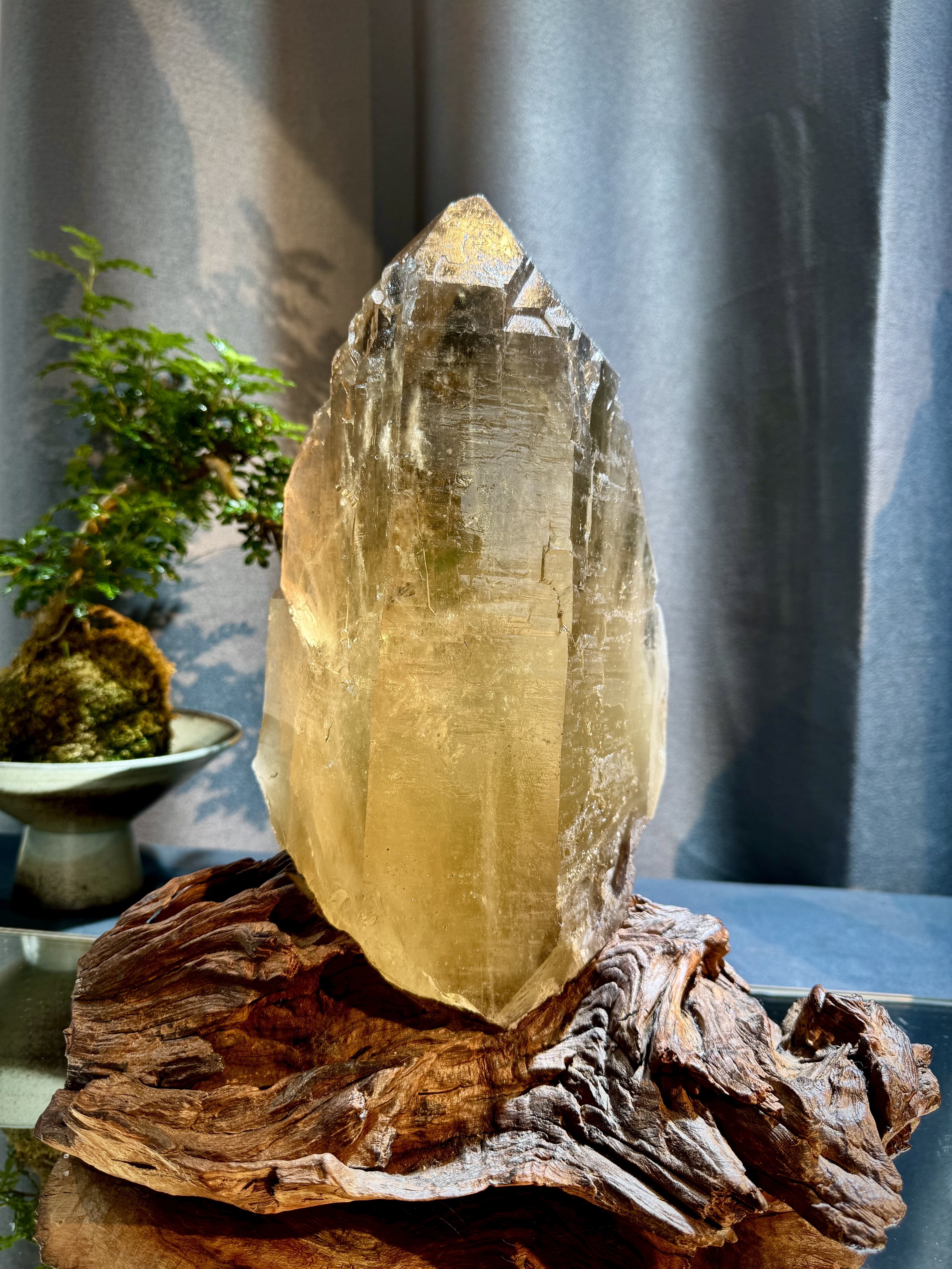 天花板龍黃色黃水晶原石 5412