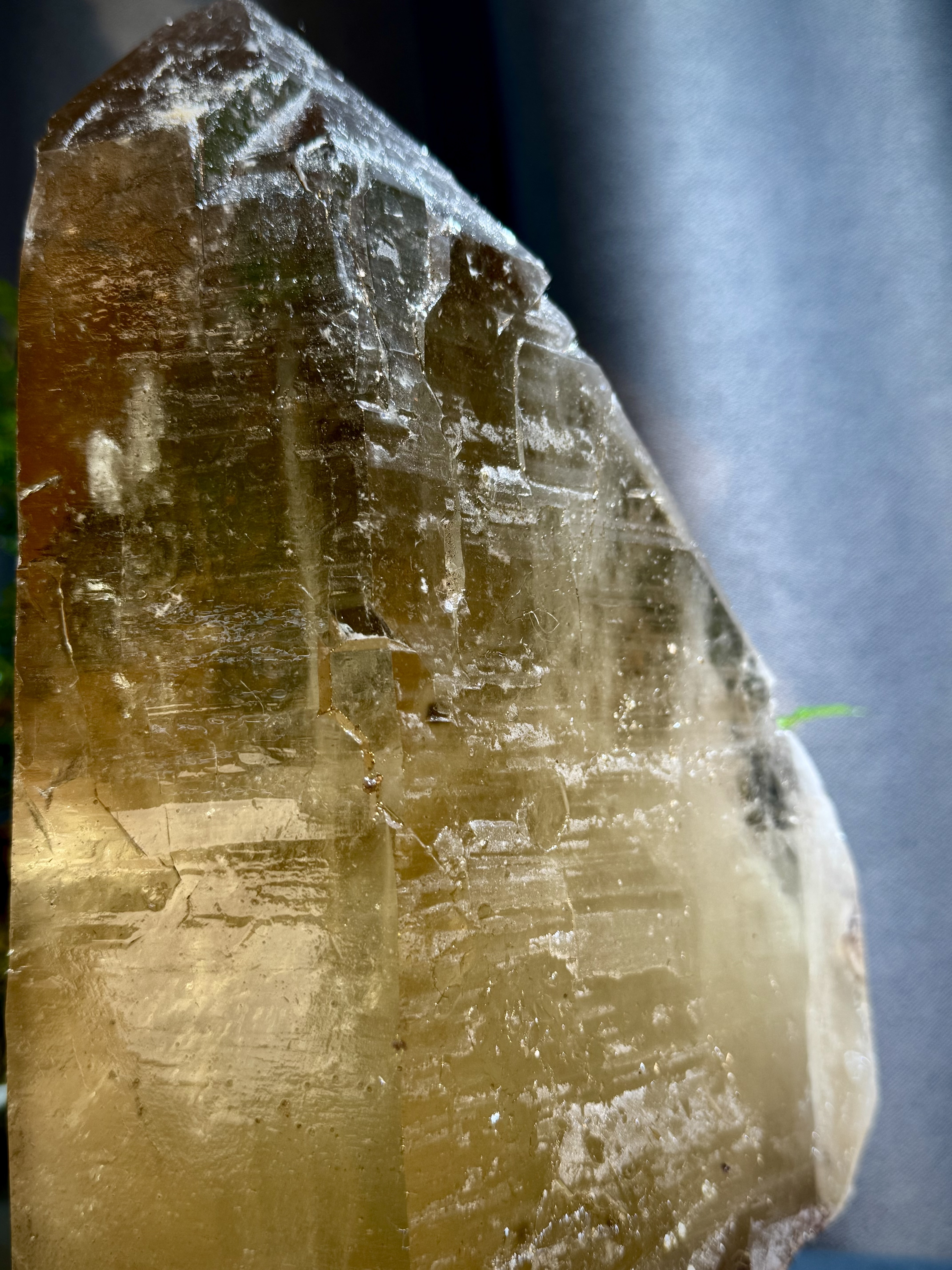 天花板龍黃色黃水晶原石 5412