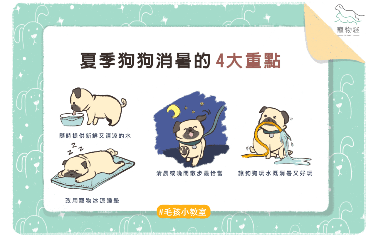 別讓狗中暑～夏季狗狗消暑的4大重點！