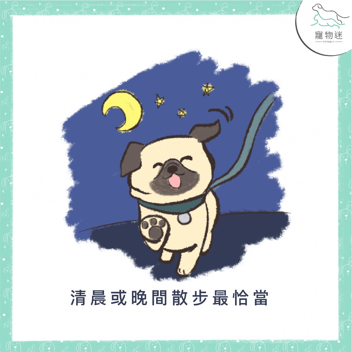 清晨或晚間散步最能讓狗狗消暑