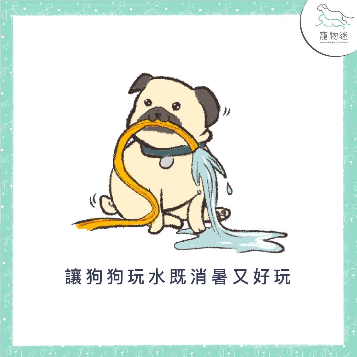 讓狗狗玩水既消暑又好玩