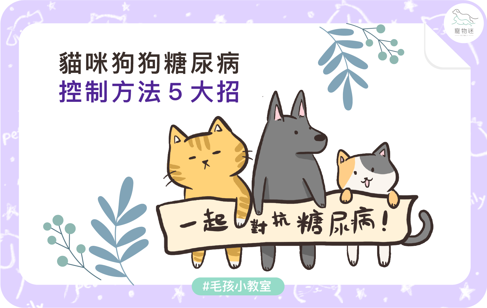 貓狗糖尿病控制5大關鍵！毛孩也能健康穩定生活！