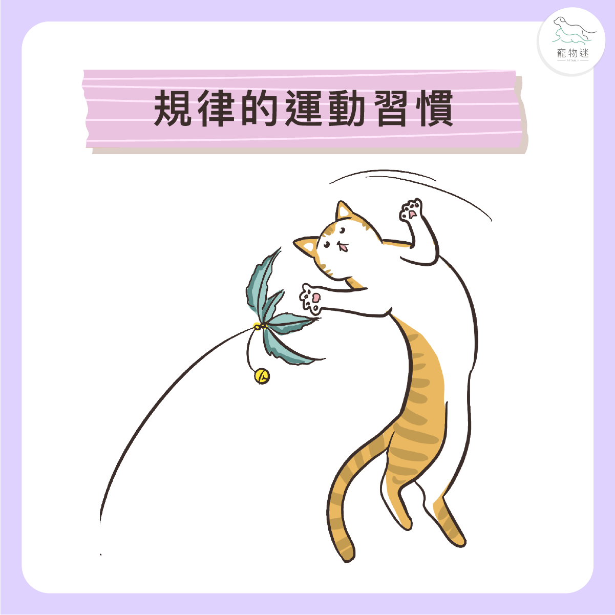建立穩定的運動習慣