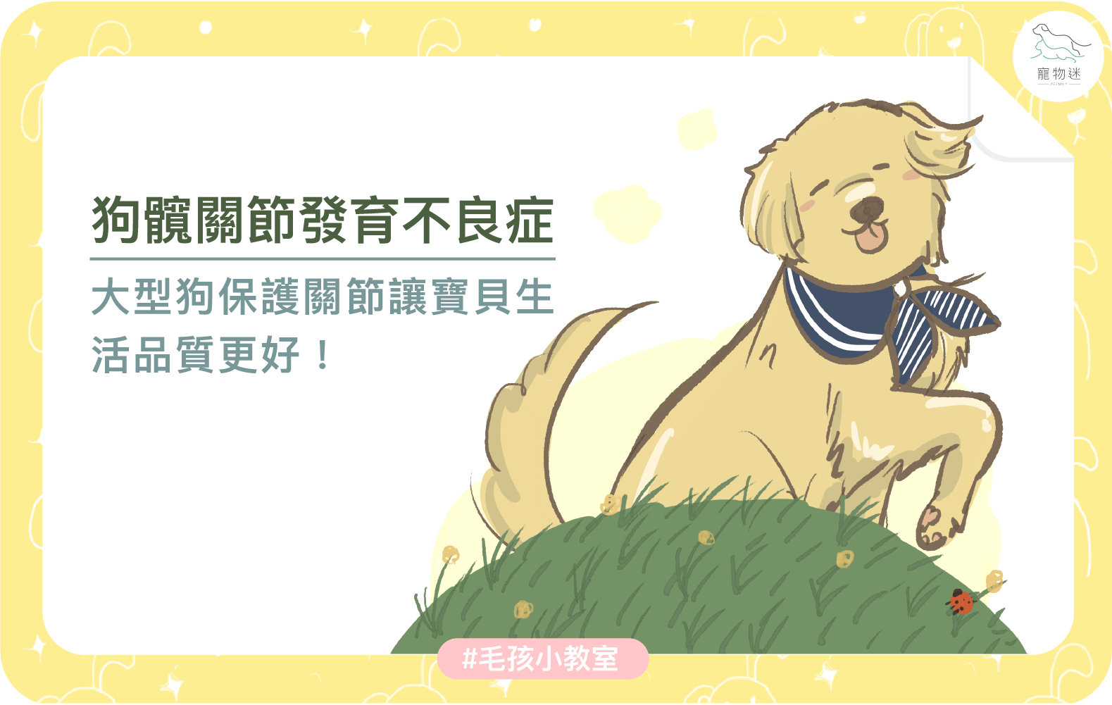 大型犬常見關節問題：狗狗髖關節發育不良的5大重點照護方式！