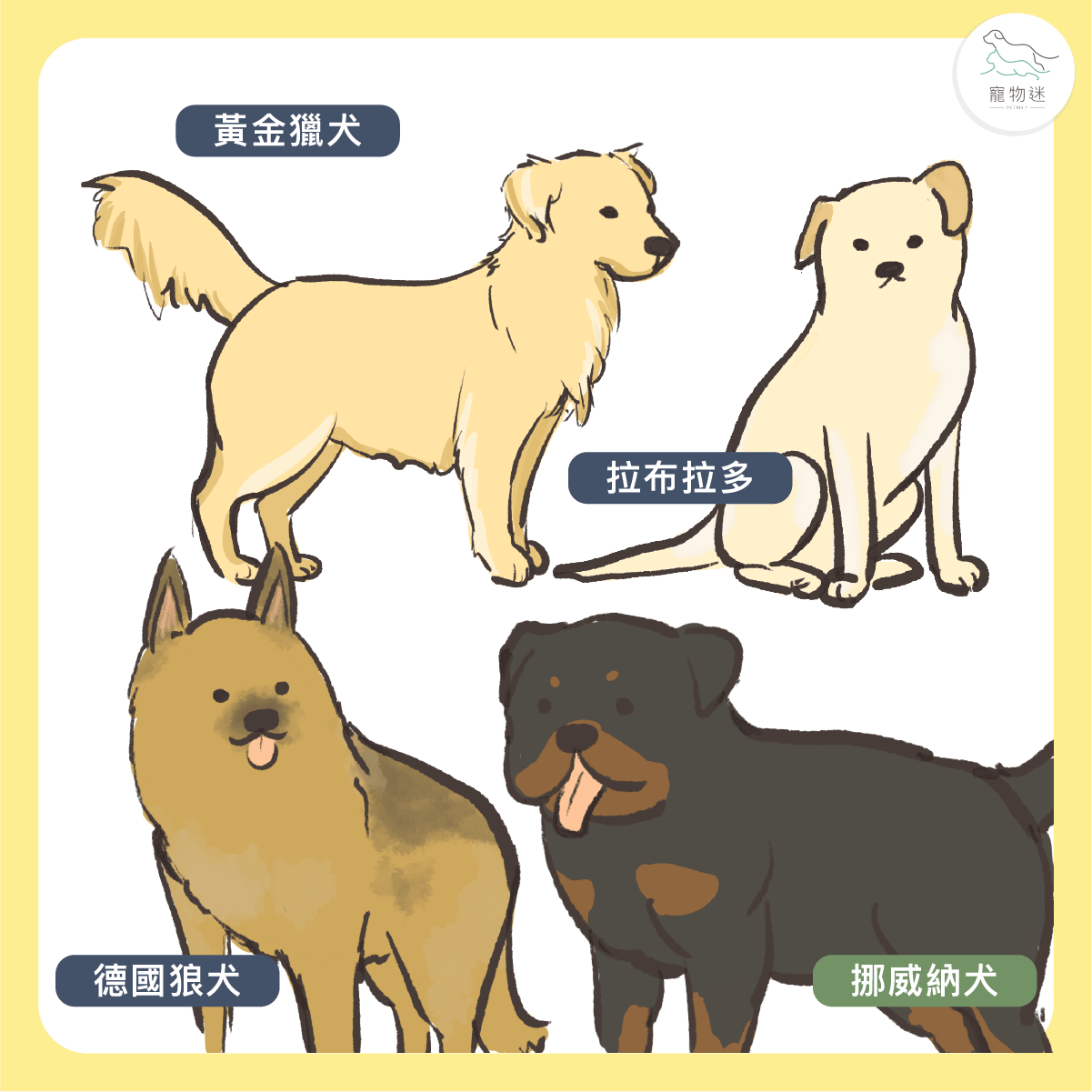 哪些犬種較容易發生髖關節發育不良？