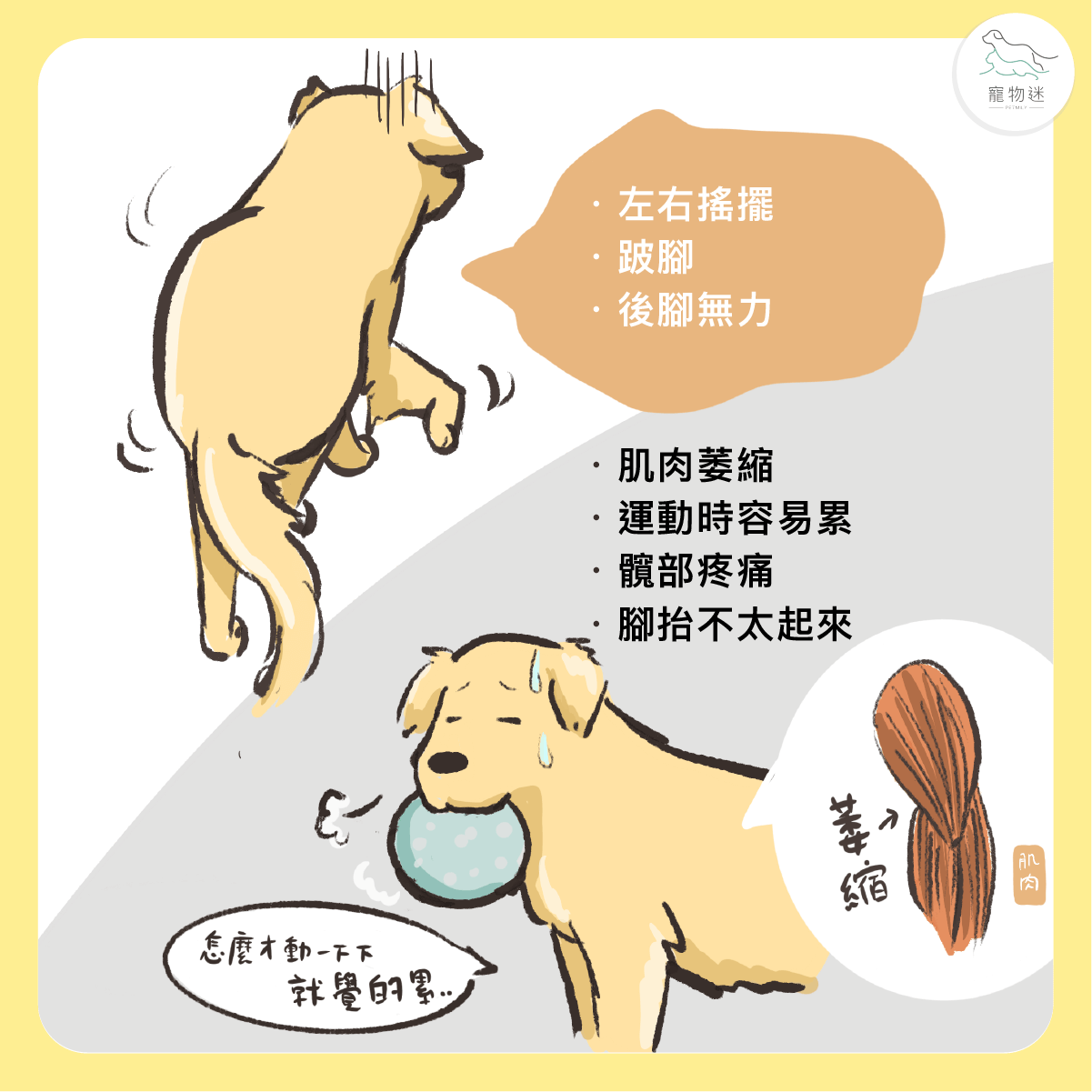 常見症狀有哪些？
