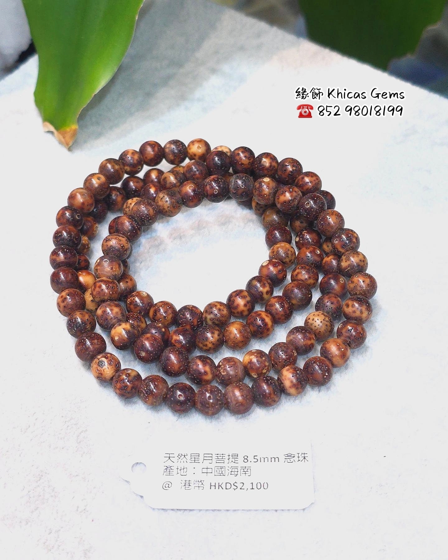 星月菩提樹念珠 星月菩提樹三万浄土珠数共仕立 – 京念珠ぜにや