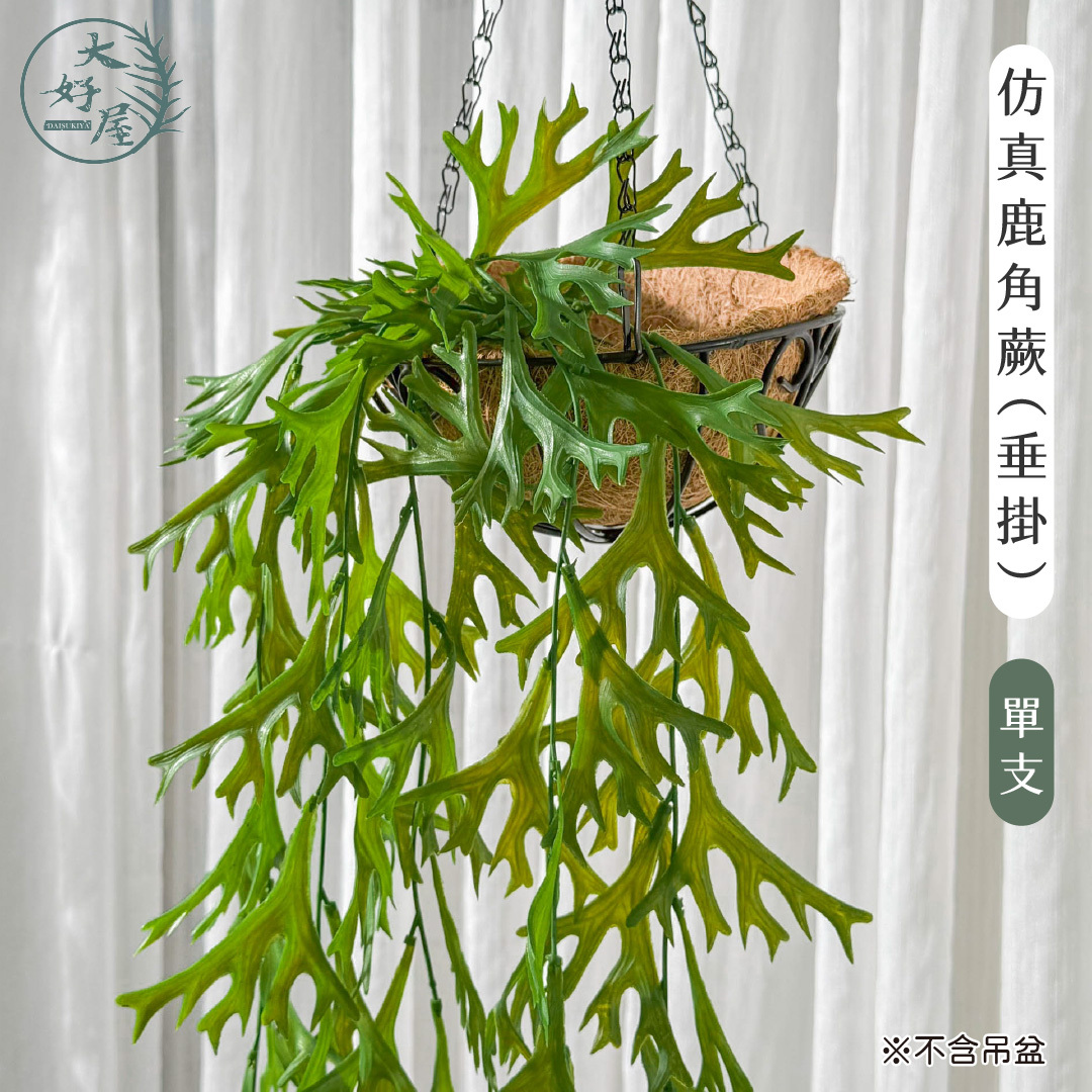 仿真鹿角蕨
