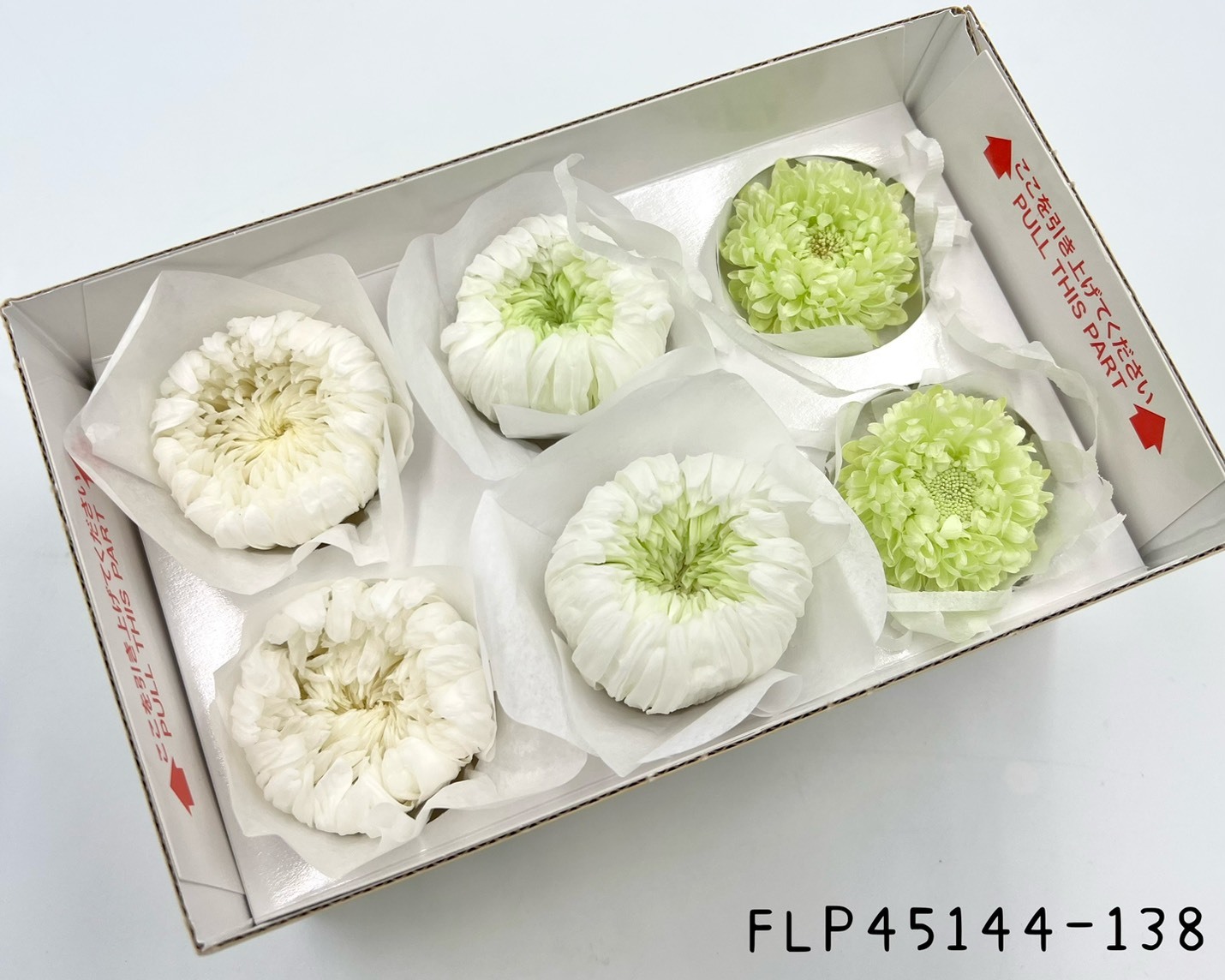 日本不凋混裝菊花(綠白) FLP45144-138