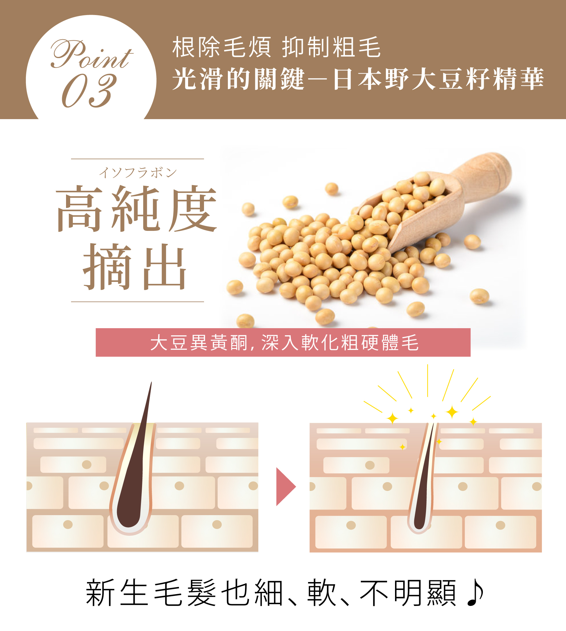 白溜霜_日本也大豆籽精華_光滑的關鍵_大豆異黃酮_抑制粗毛