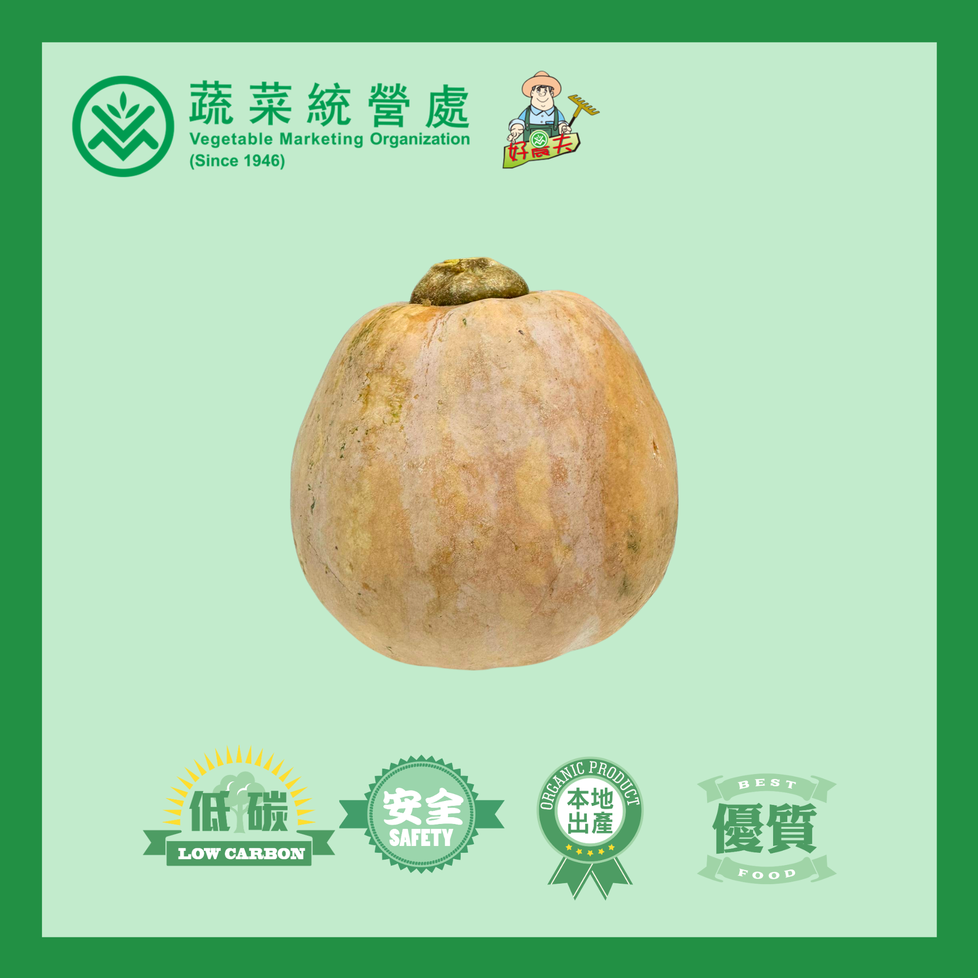 Local Organic Pumpkin