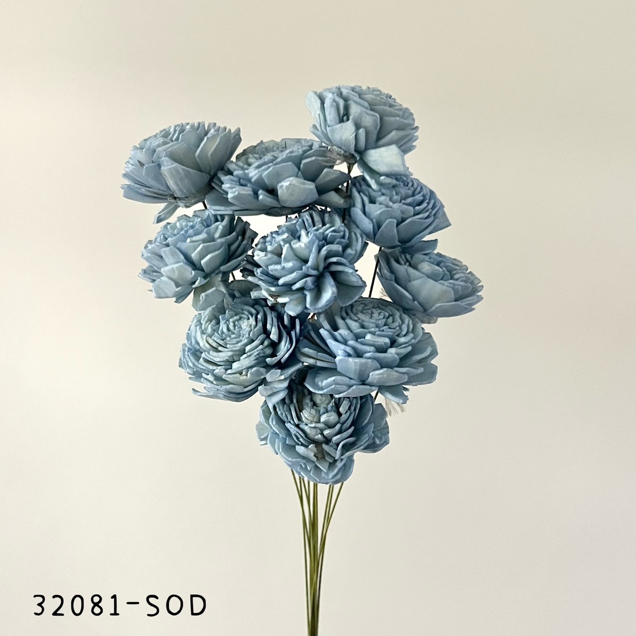 日本索拉玫瑰花 32081-SOD