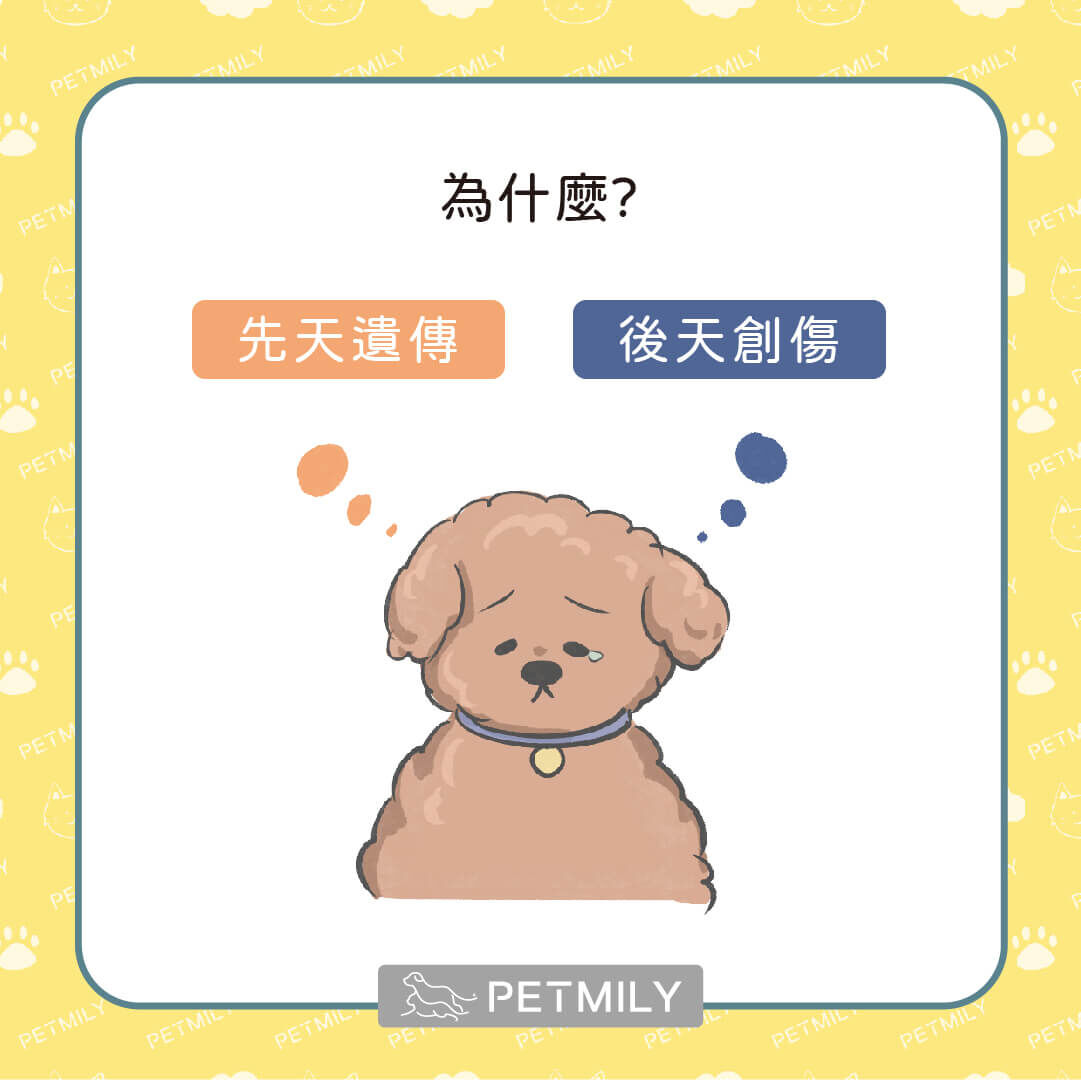 為何會發生膝關節易位？