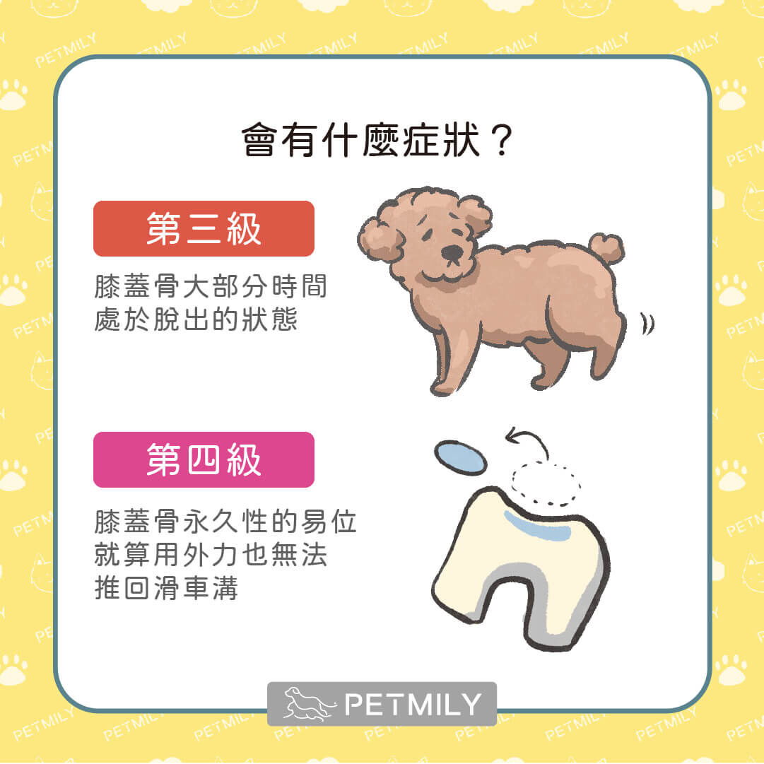 常見症狀與嚴重程度2