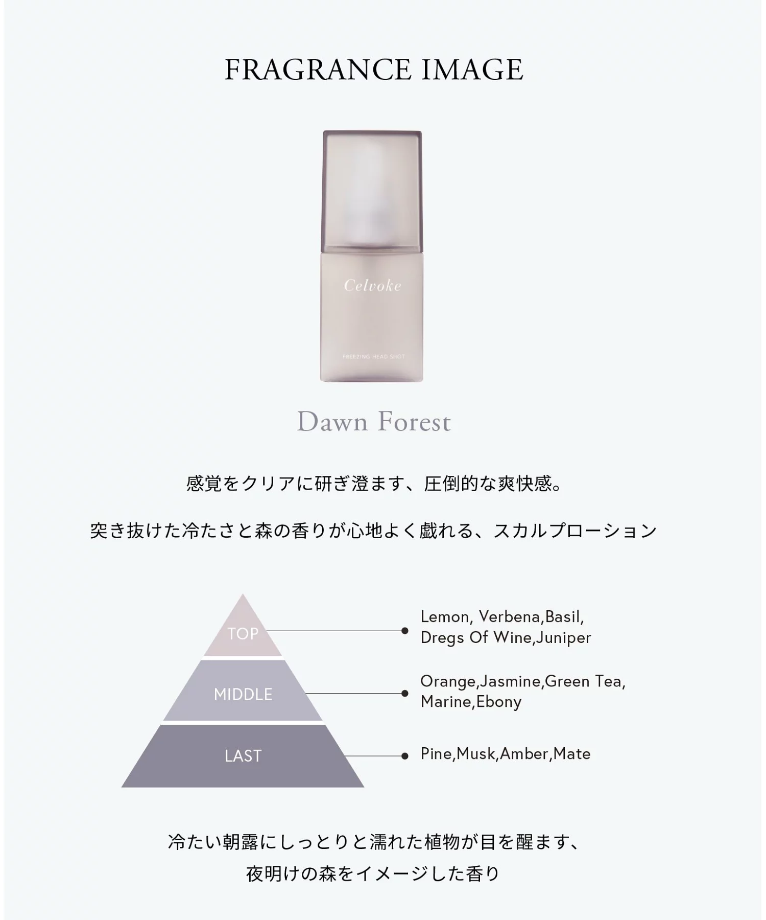 [限定] CELVOKE Freezing Head Shot Dawn Forest 50ml