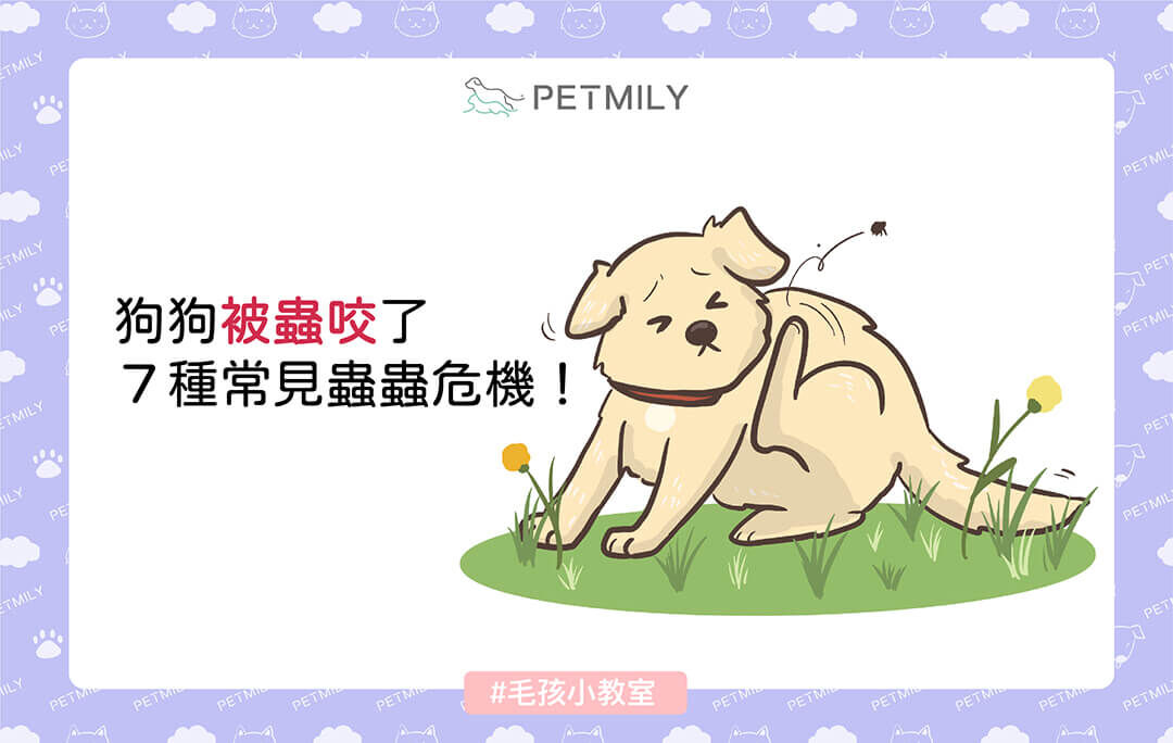 狗狗被蟲咬了怎麼辦