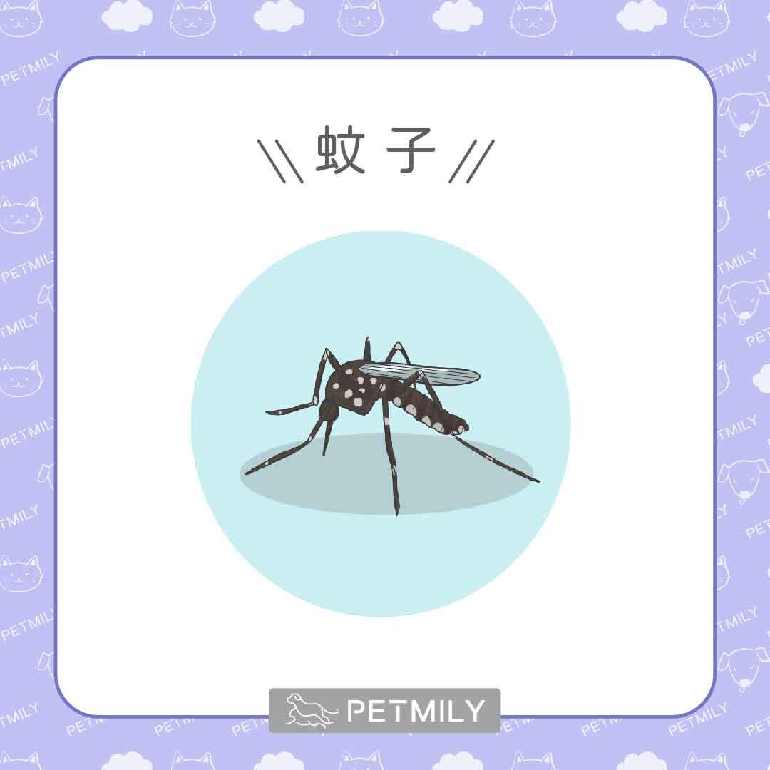 蚊子