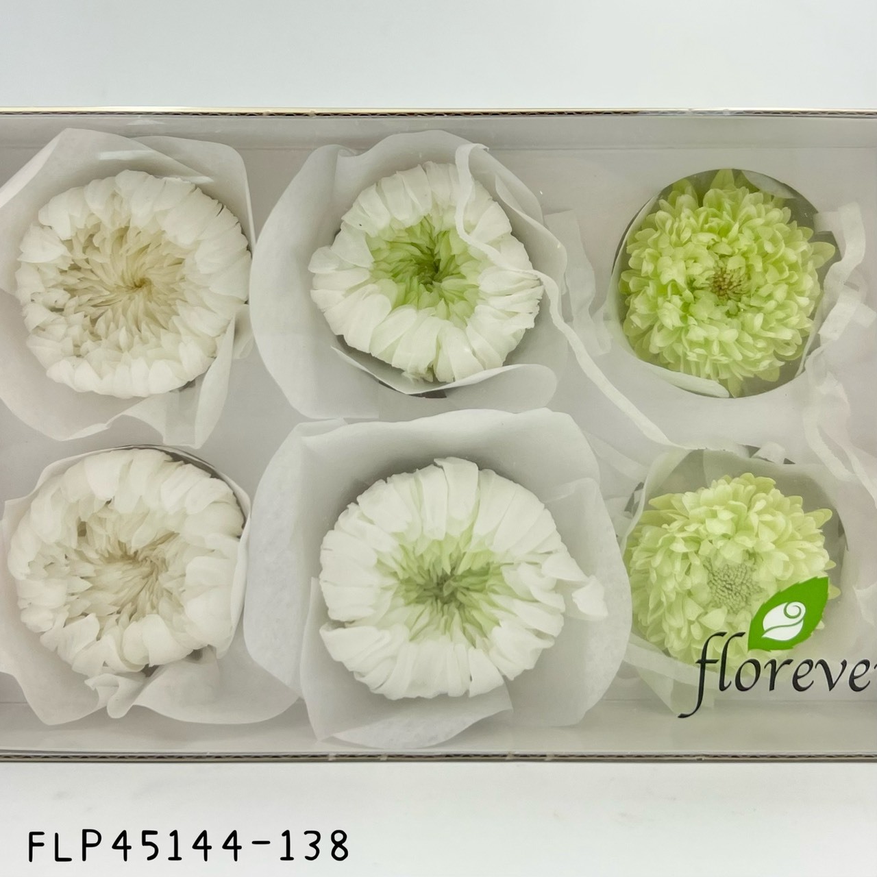 日本不凋混裝菊花(綠白) FLP45144-138