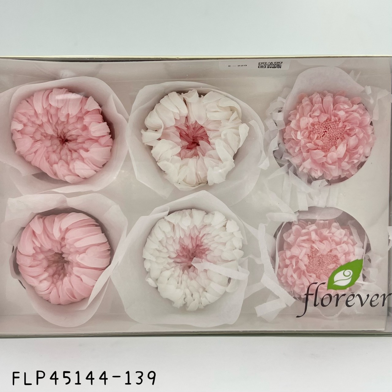 日本不凋混裝菊花(粉白) FLP45144-139