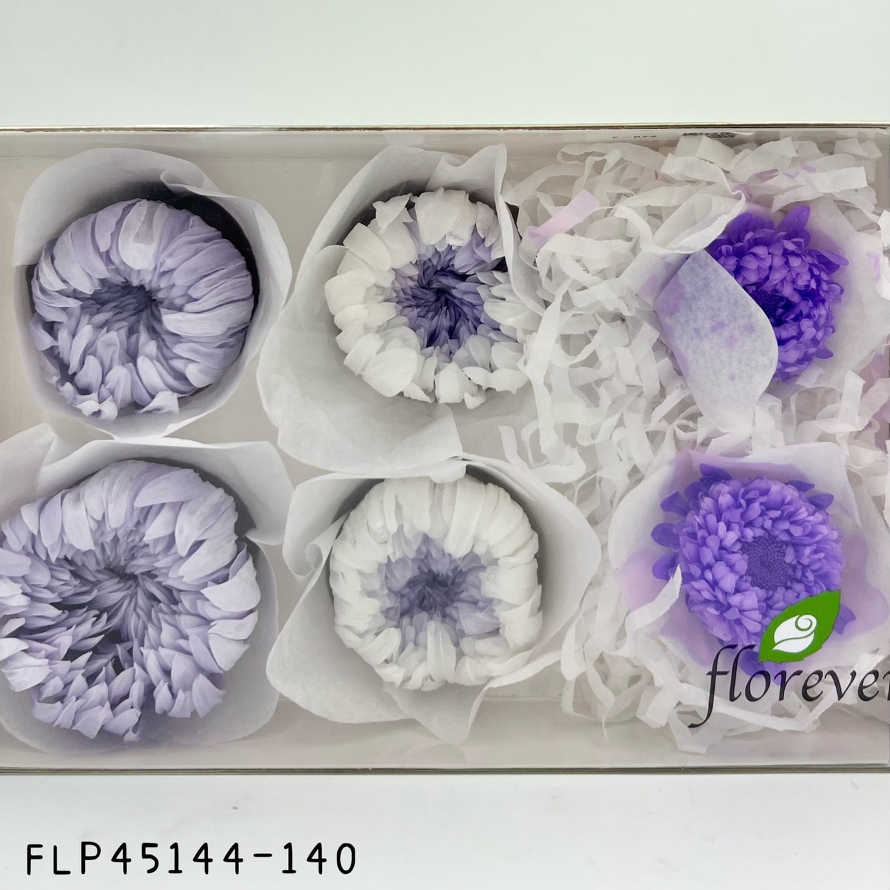 日本不凋混裝菊花(紫白) FLP45144-140