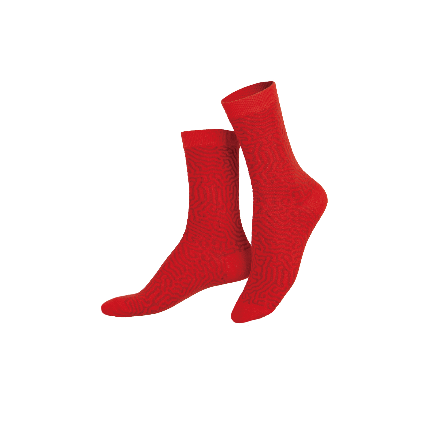 EAT MY SOCKS ｜襪子｜快餐系列｜西班牙臘腸