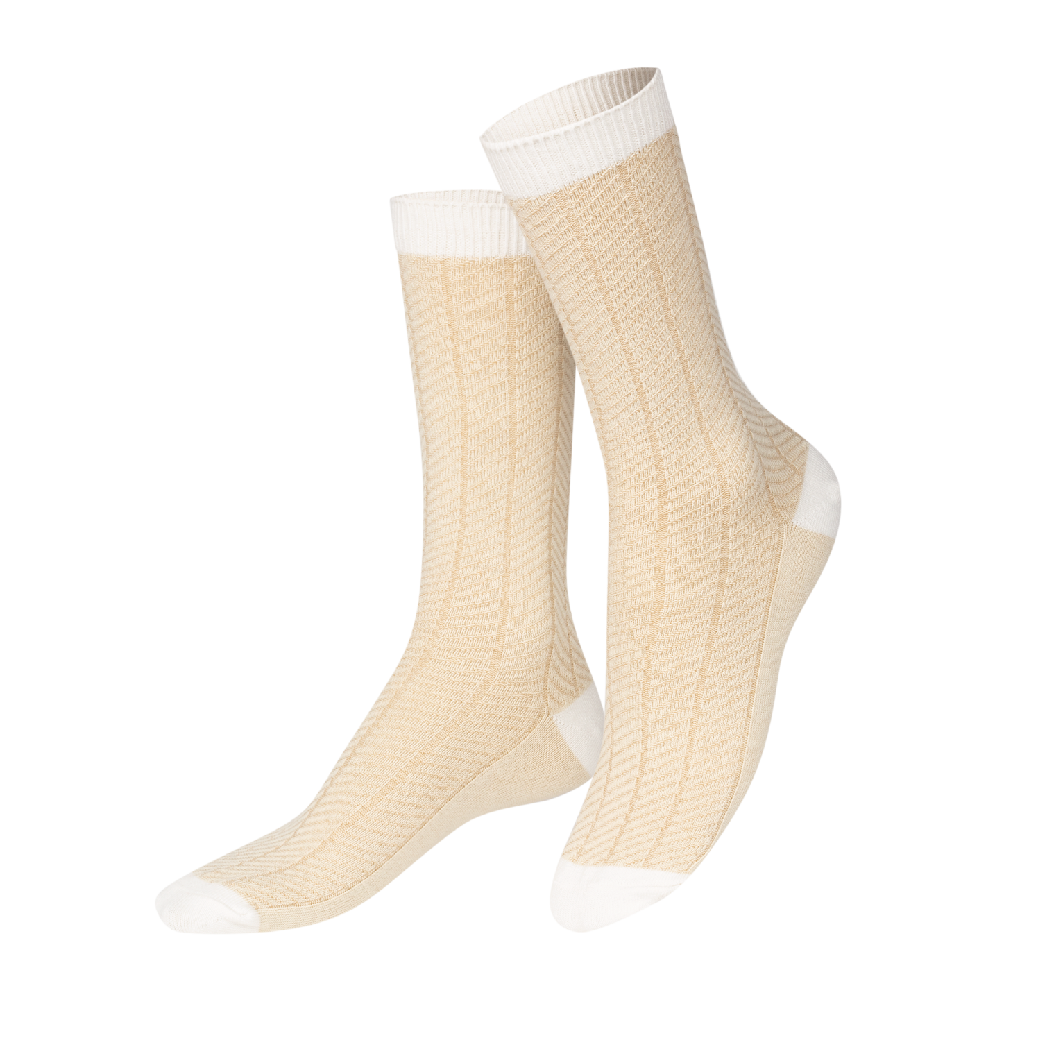 EAT MY SOCKS ｜襪子｜快餐系列｜卡門貝爾乳酪