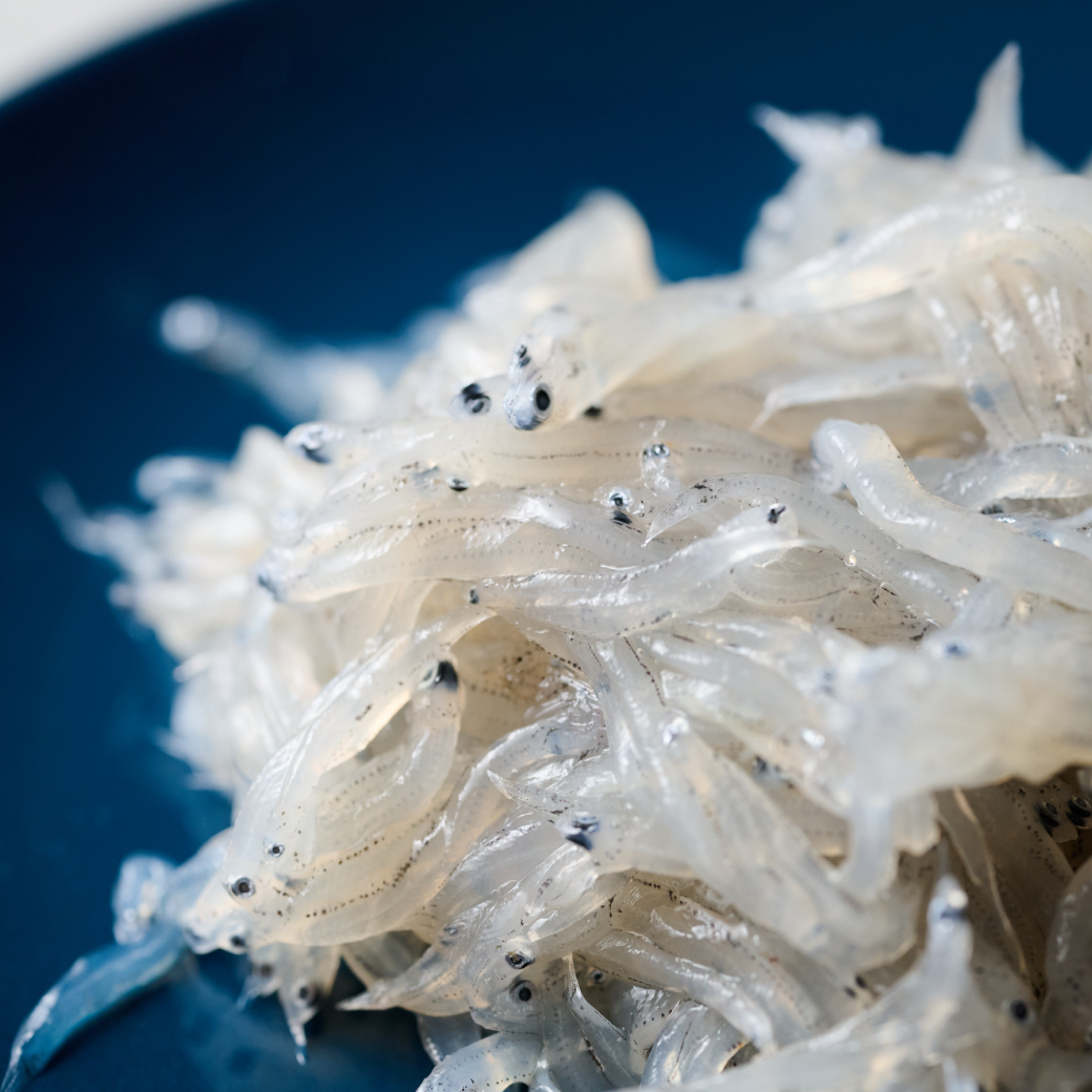 優質海鮮-澎湖現撈吻仔魚 150g