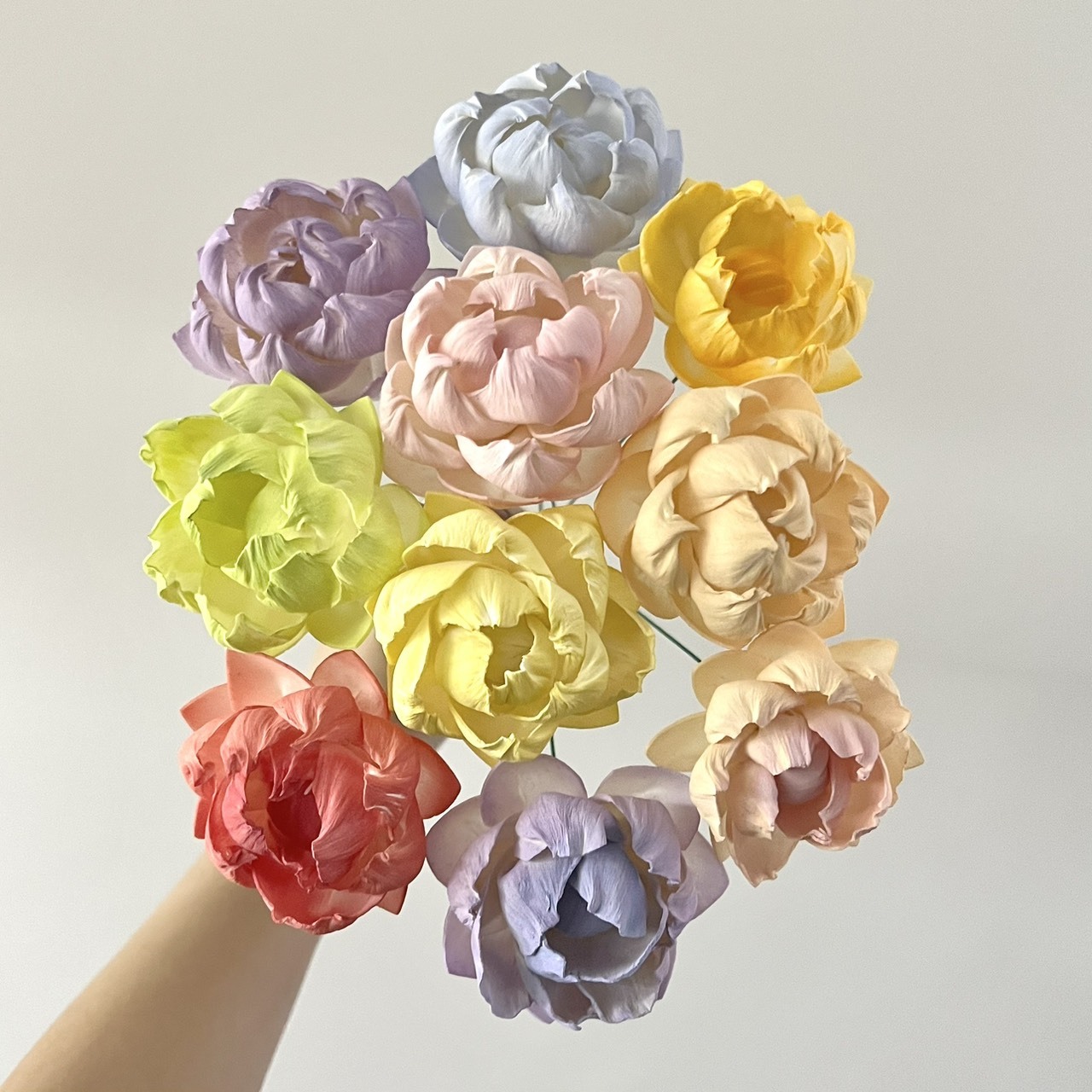 泰國索拉花 尖葉牡丹 6CM <十支一把> (高品質)