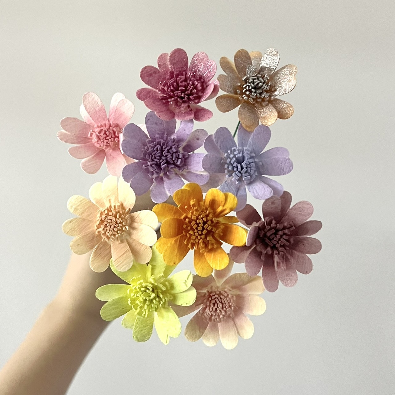 泰國索拉花 瑪格麗特 4CM <十支一把> (高品質)