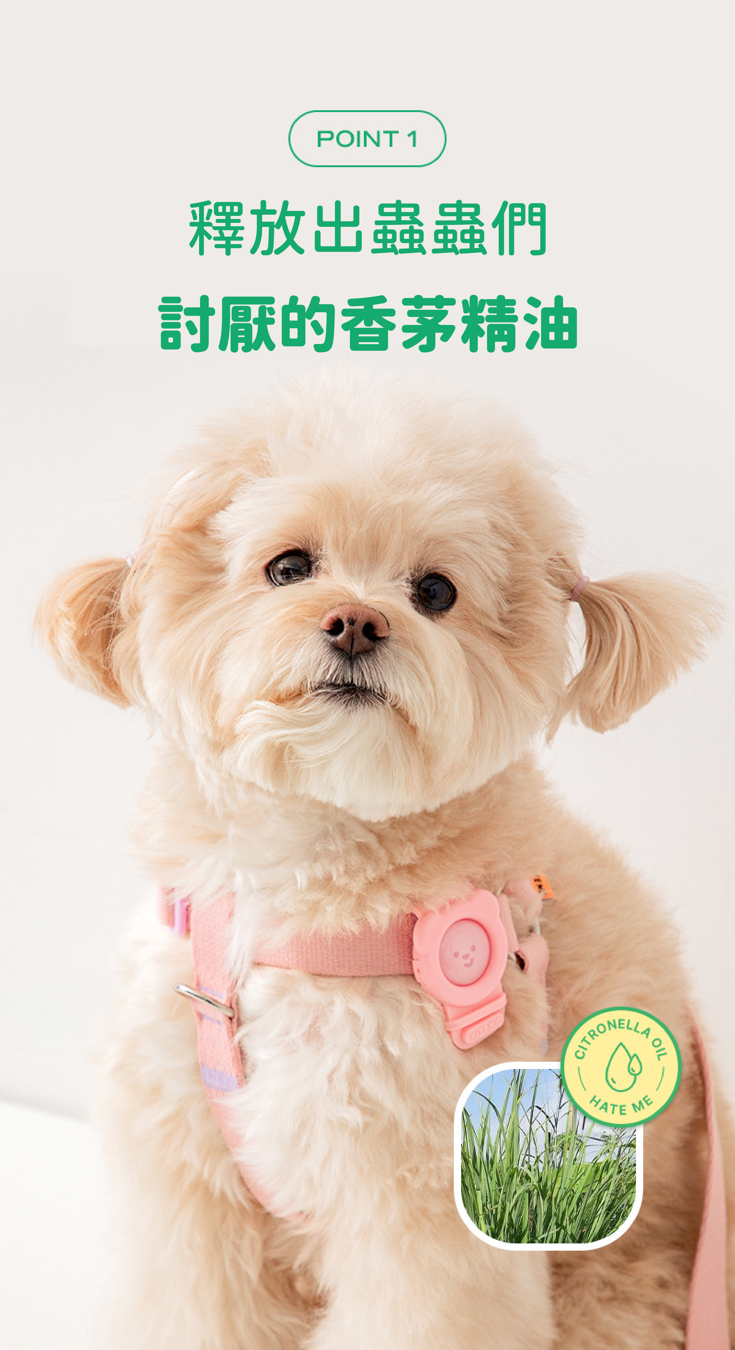 寵物防蚊扣 推薦