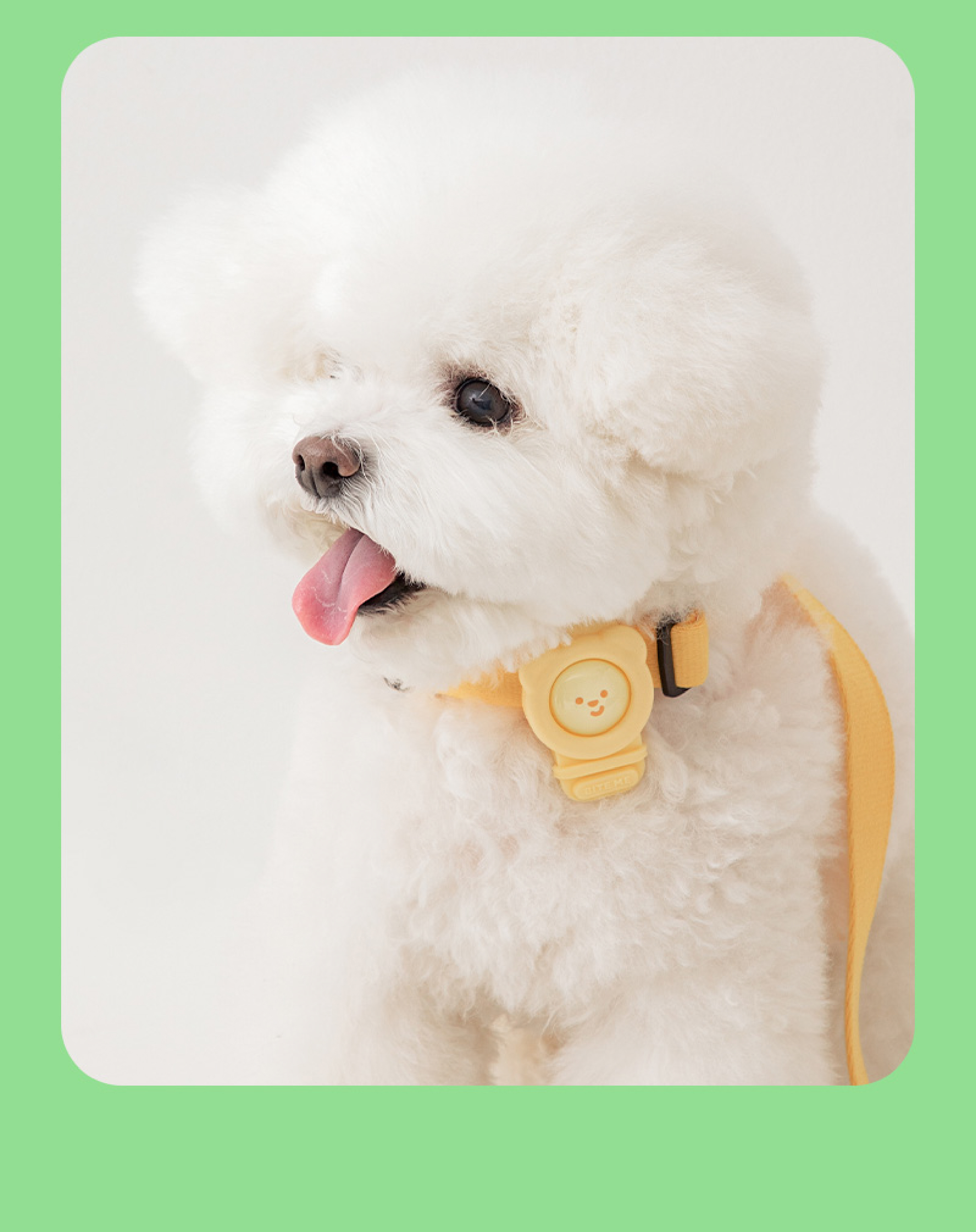 寵物防蚊扣 推薦