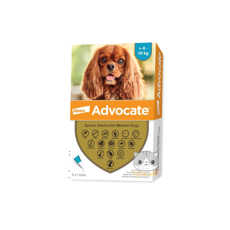 Elanco (Bayer) Advocate 4-10kg for Dogs