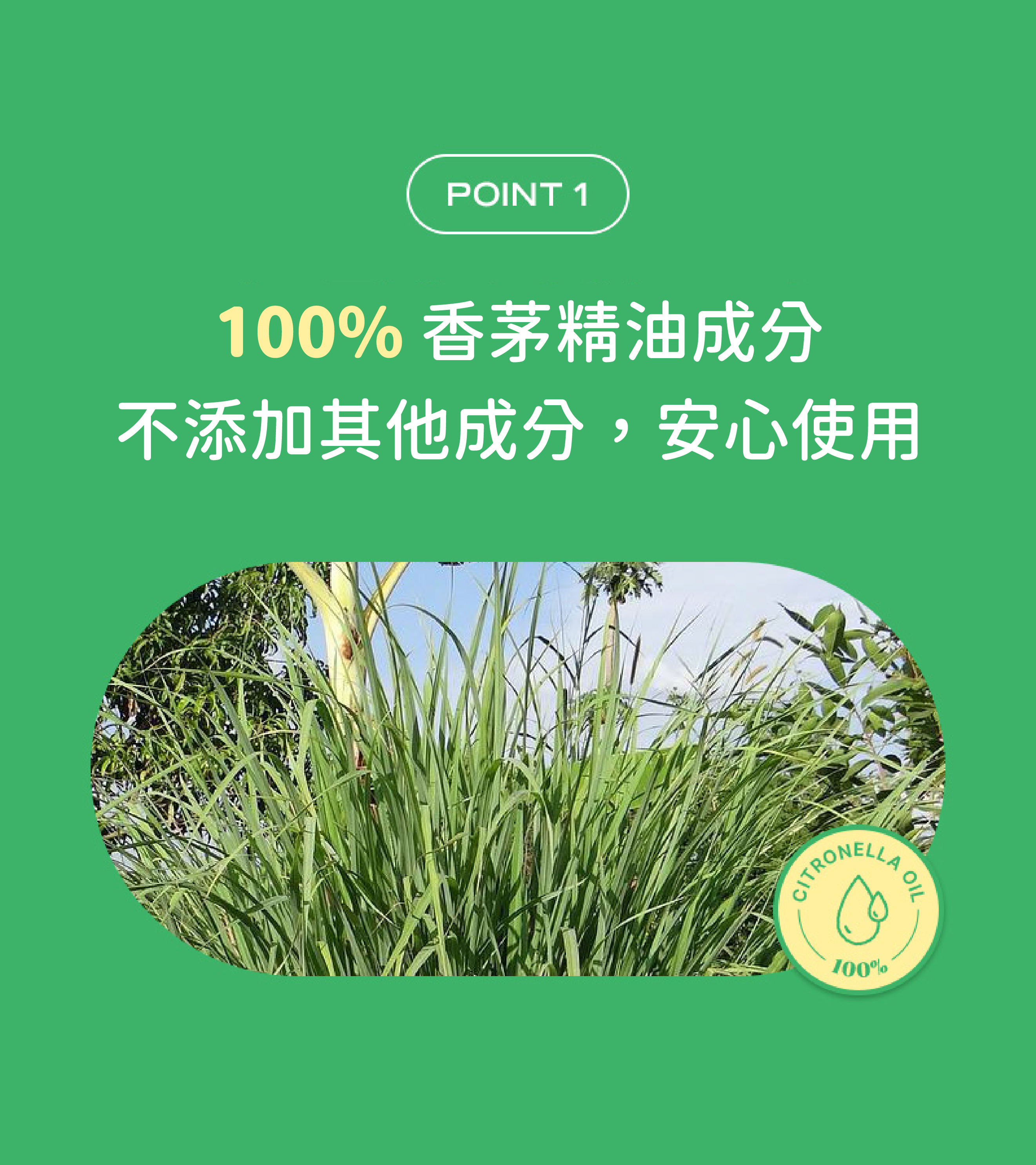 寵物防蚊貼片 熊熊造型