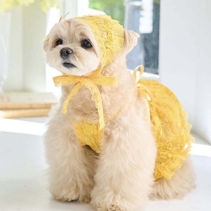 配件-Twinkle閃耀浪漫頭巾領巾-It’s sunny outside