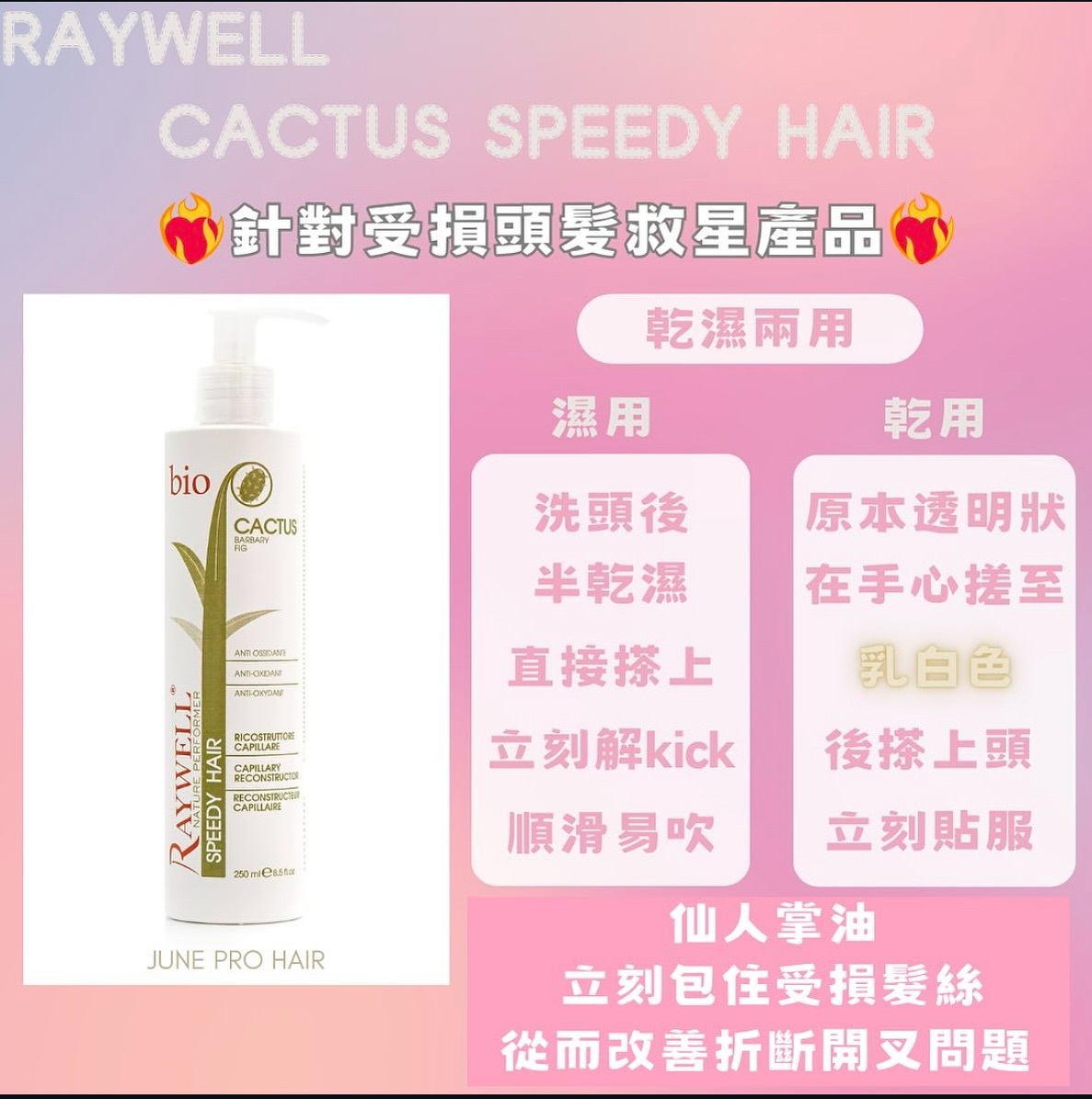 Raywell Cactus Speedy Hair 250ml