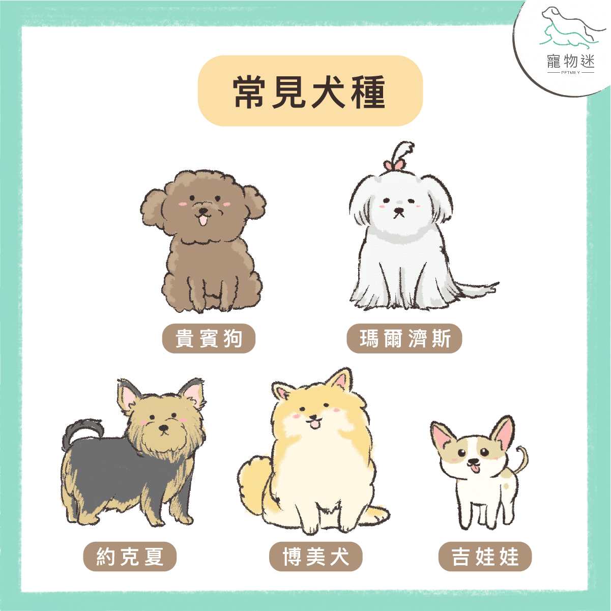 狗氣管塌陷常見犬種