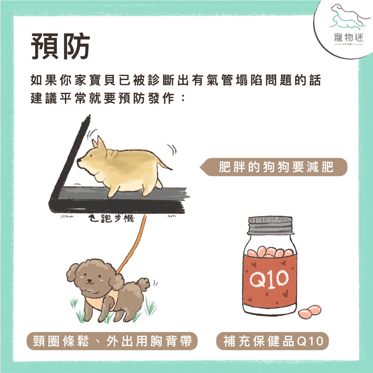 預防狗氣管塌陷2