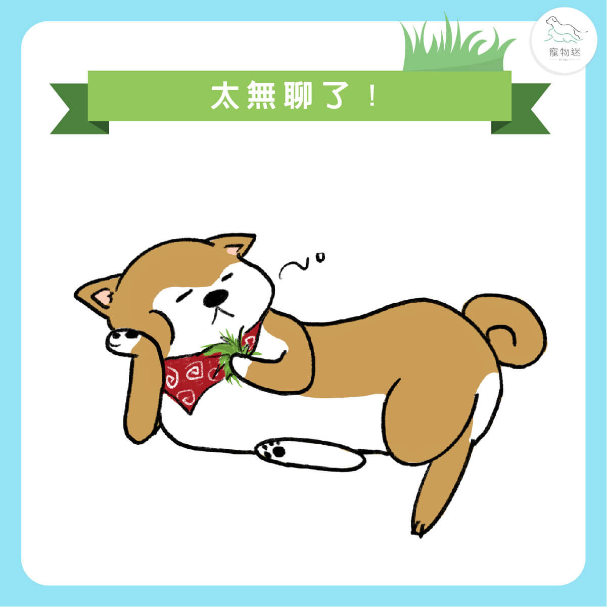 狗狗可能是太無聊了