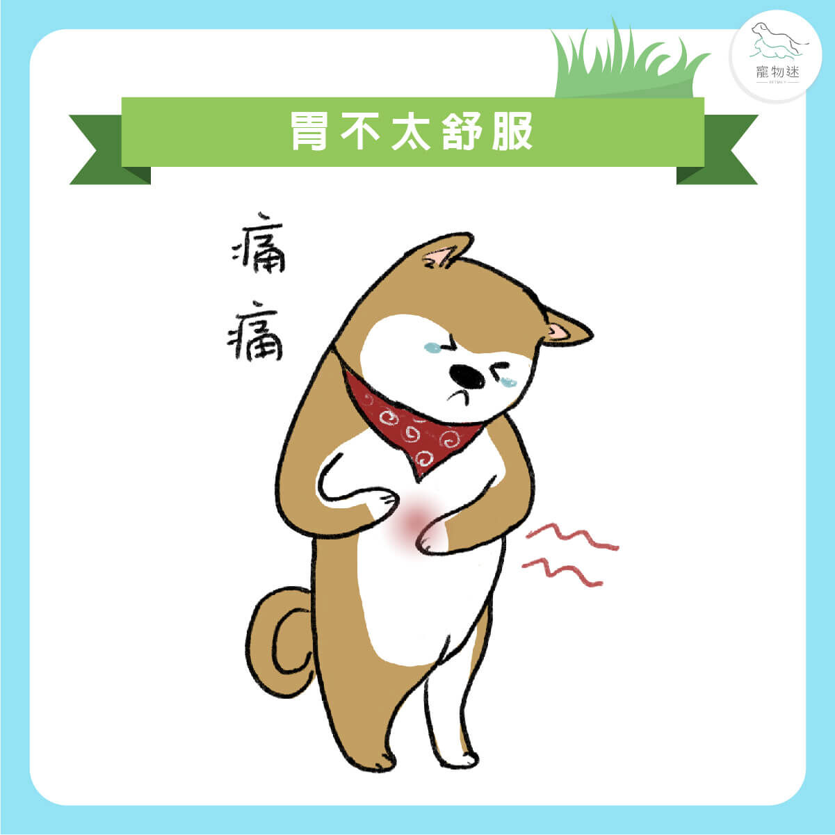 狗狗腸胃不舒服