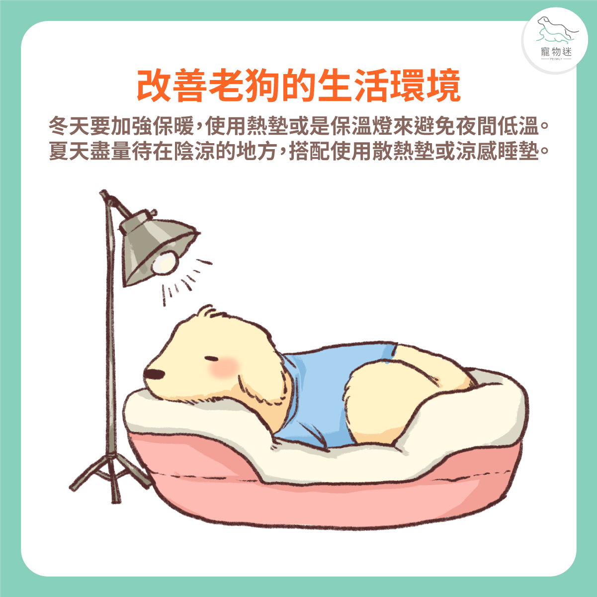 家具邊角加裝防撞軟墊，避免碰撞受傷