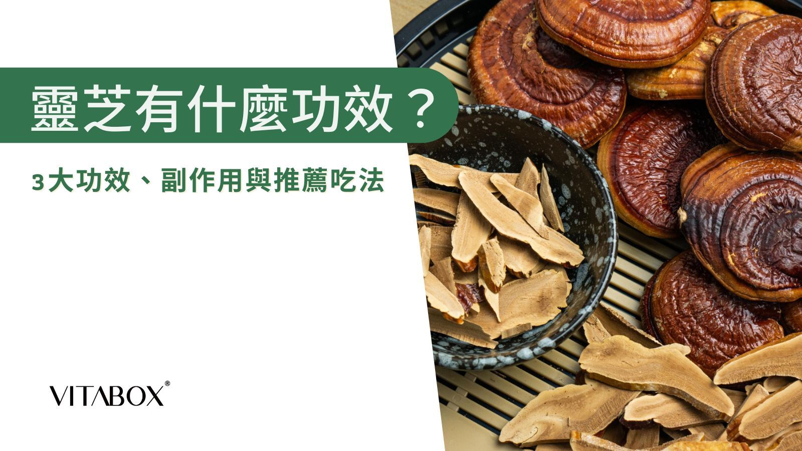 靈芝有什麼功效？