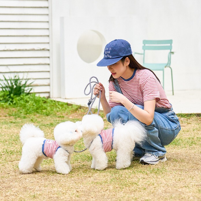 Noutti  復古條紋短版上衣 (藍)