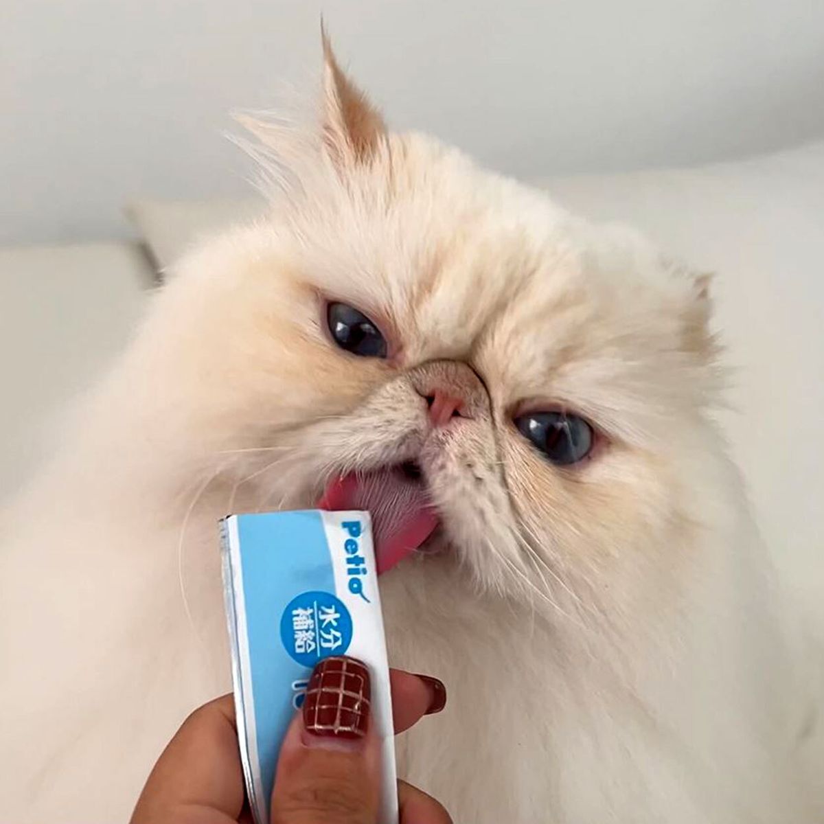 Petio 無添加保健補水貓用啫喱條 (牛磺酸+) 4本