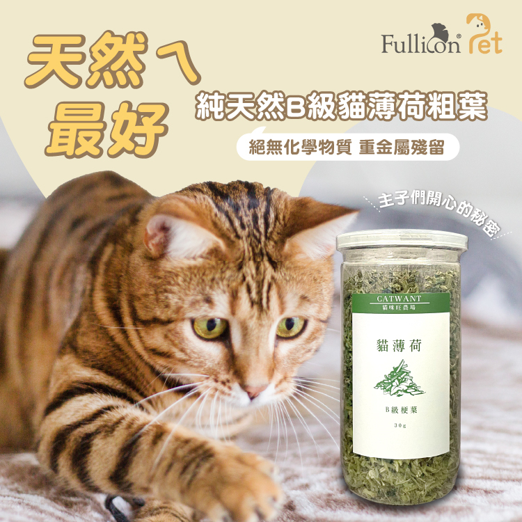 【貓咪旺農場】B級 貓薄荷  30g